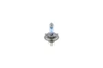 BOSCH Pære,  fjernlys Ultra White BL 12V 60/55W H4 1 987 301 152