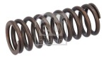 FEBI BILSTEIN Ventilfjeder 187746